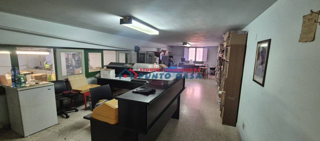 immagine annuncio 5 di 14