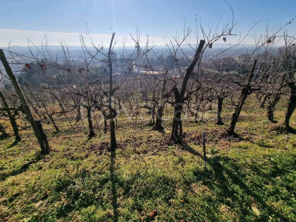 immagine annuncio 8 di 9