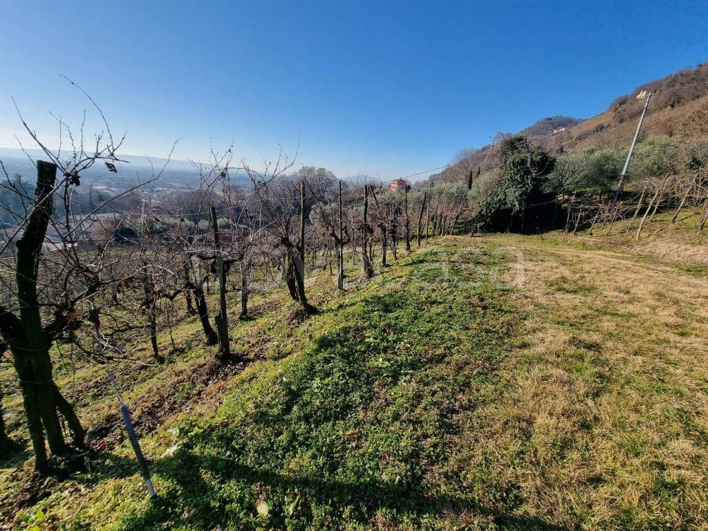 immagine annuncio 7 di 9