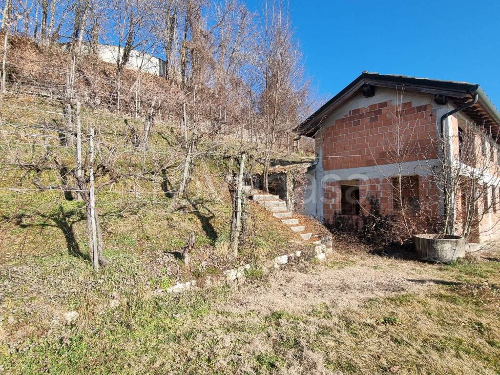 immagine annuncio 1 di 9