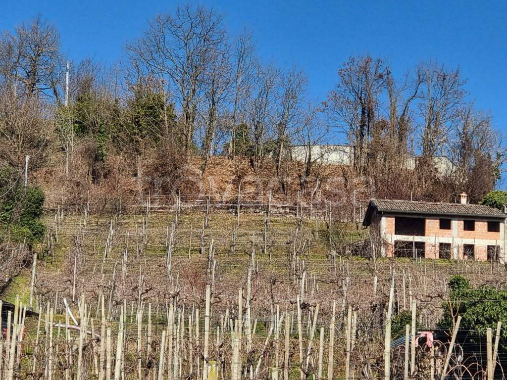 immagine annuncio 2 di 9