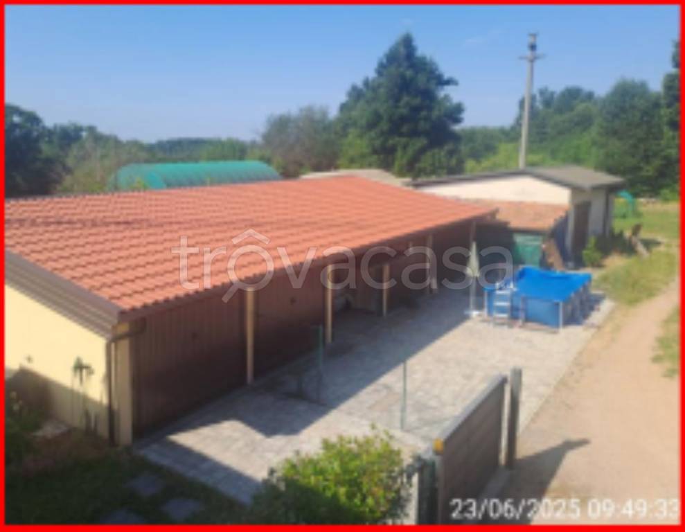 immagine annuncio 5 di 12