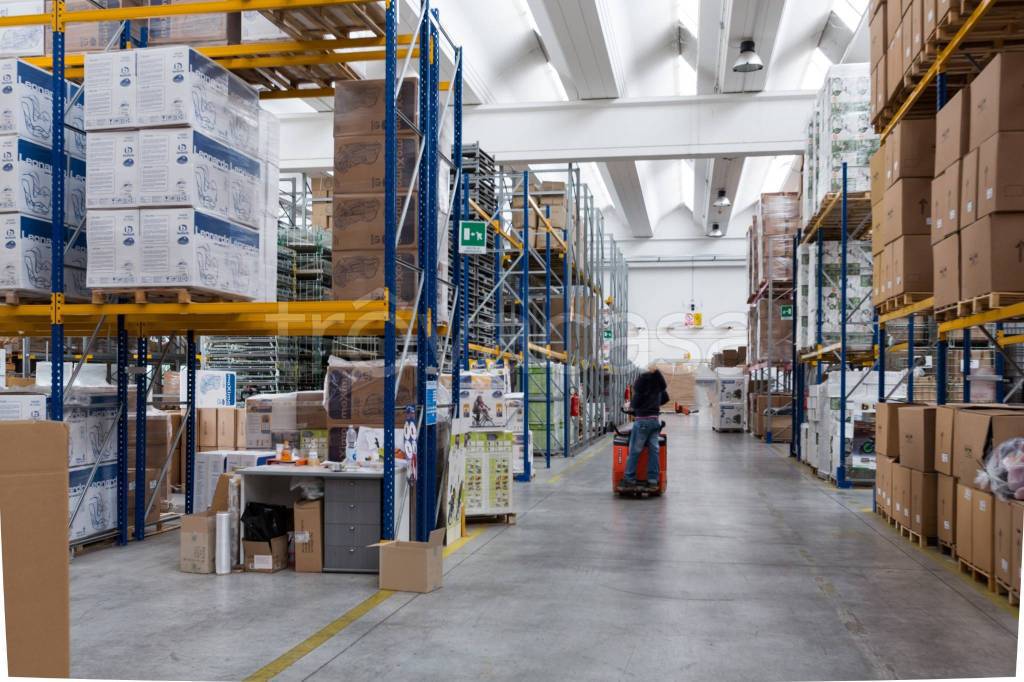 immagine annuncio 4 di 8