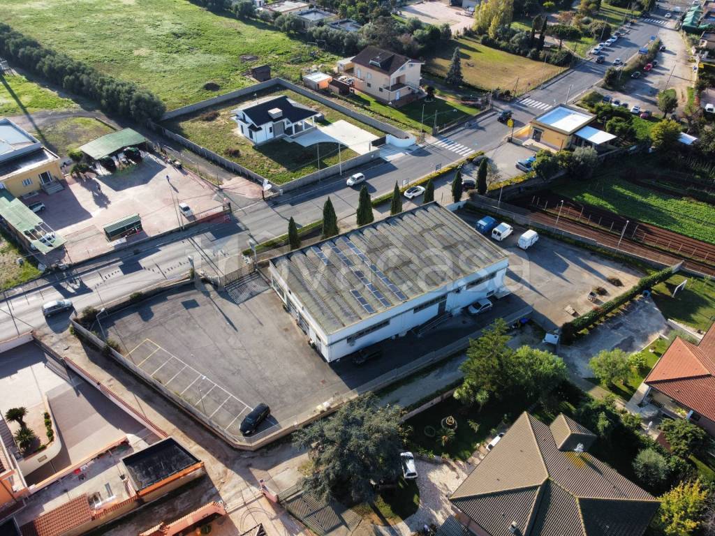 immagine annuncio 8 di 11