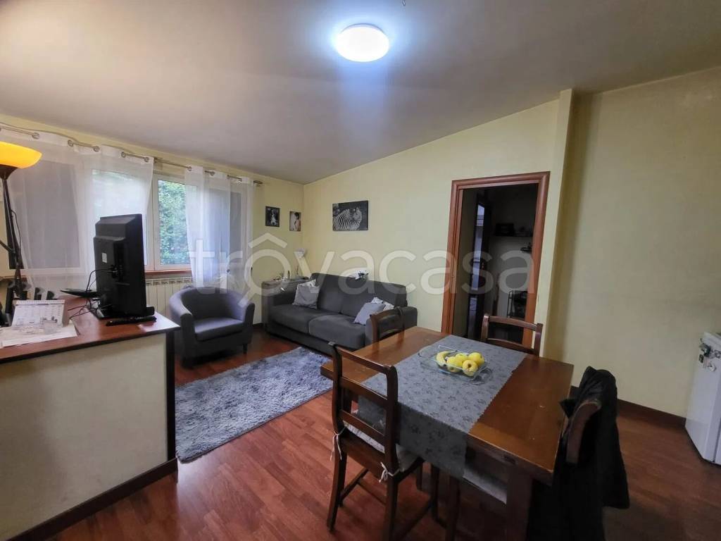 immagine annuncio 11 di 15