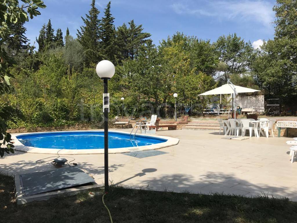 immagine annuncio 6 di 9