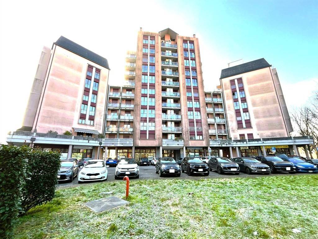 immagine annuncio 1 di 12