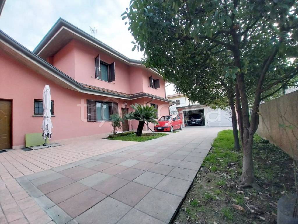 immagine annuncio 9 di 15