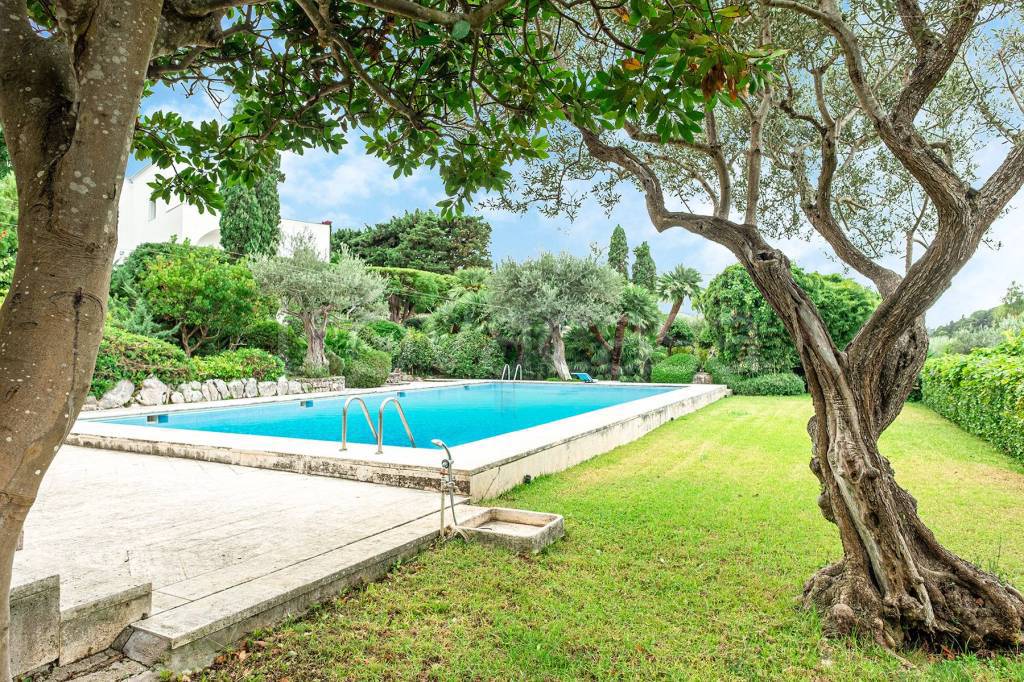 immagine annuncio 9 di 14