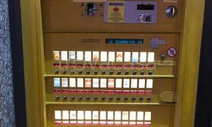 immagine annuncio 11 di 14