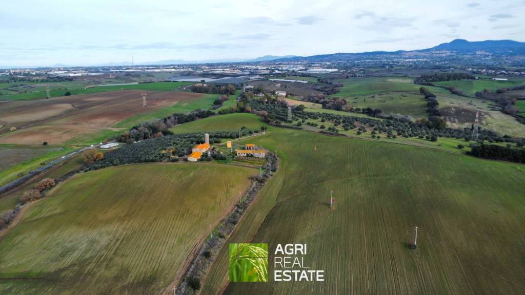 immagine annuncio 6 di 12