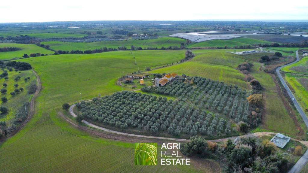 immagine annuncio 7 di 12