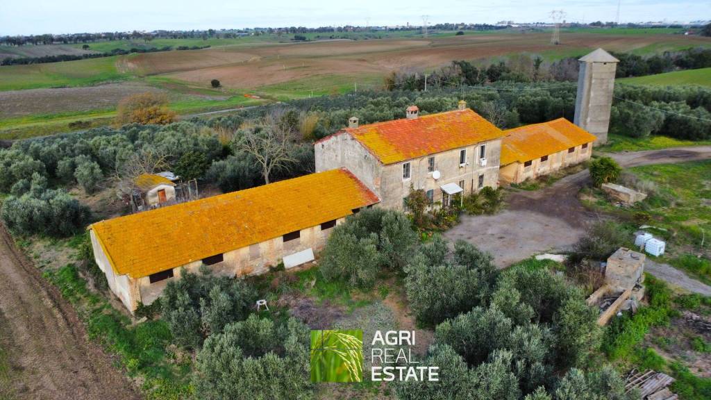 immagine annuncio 8 di 12