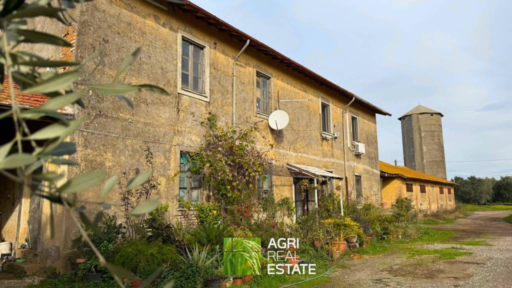 immagine annuncio 10 di 12