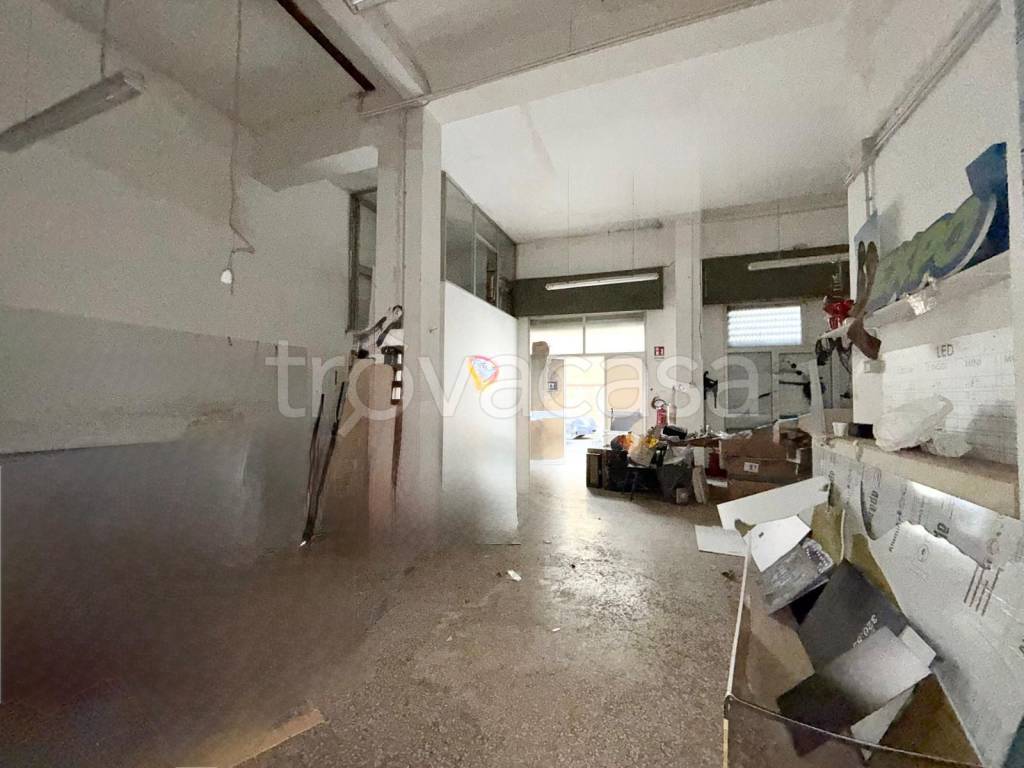 immagine annuncio 8 di 15