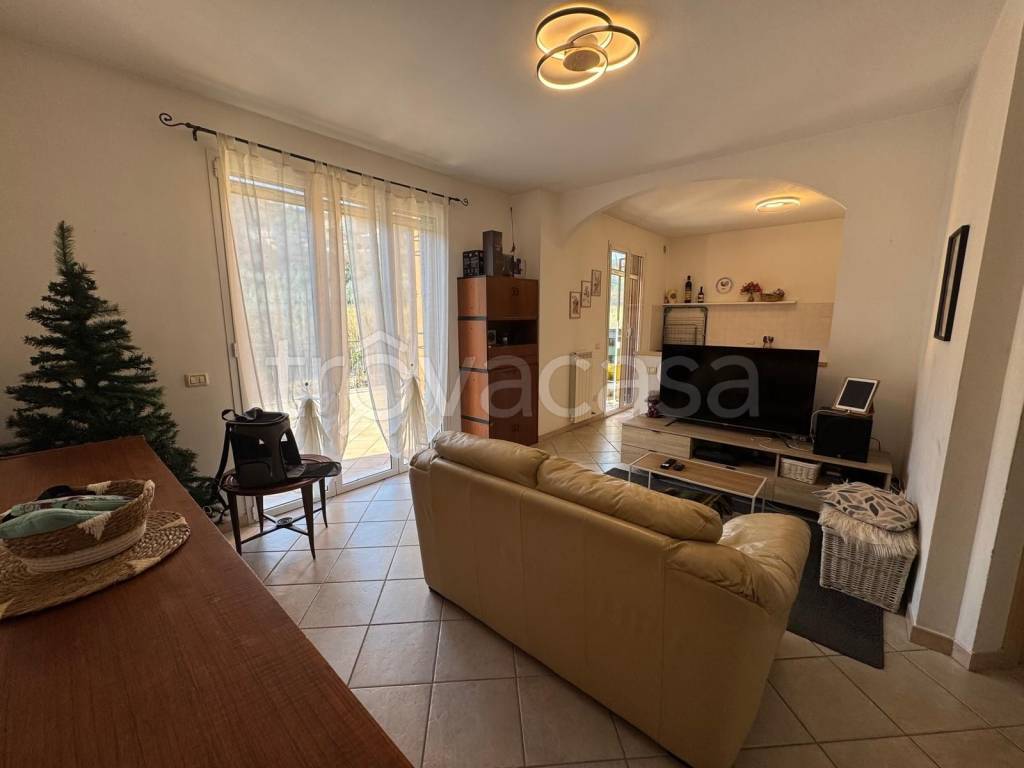 immagine annuncio 1 di 14