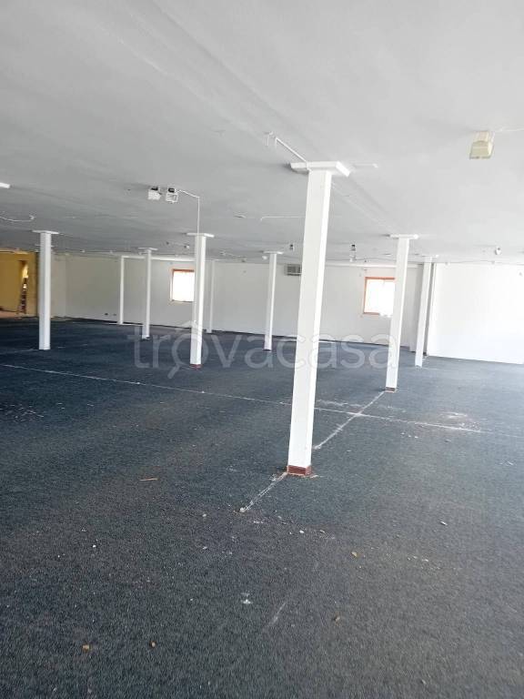 immagine annuncio 4 di 9