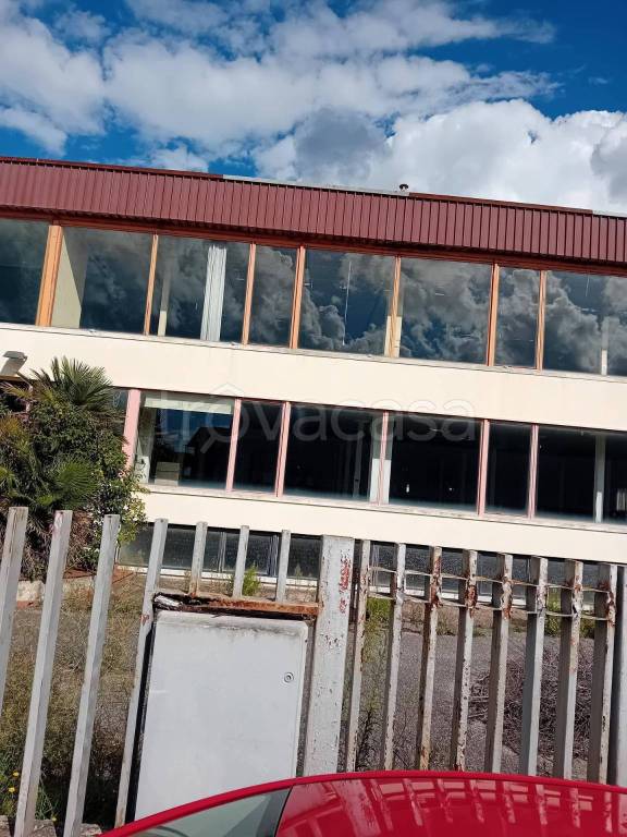 immagine annuncio 7 di 9