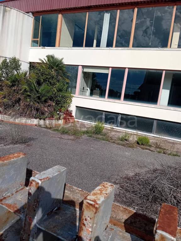 immagine annuncio 6 di 9