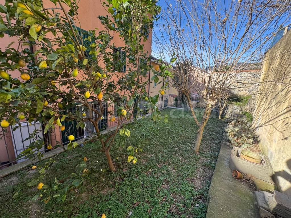 immagine annuncio 12 di 14