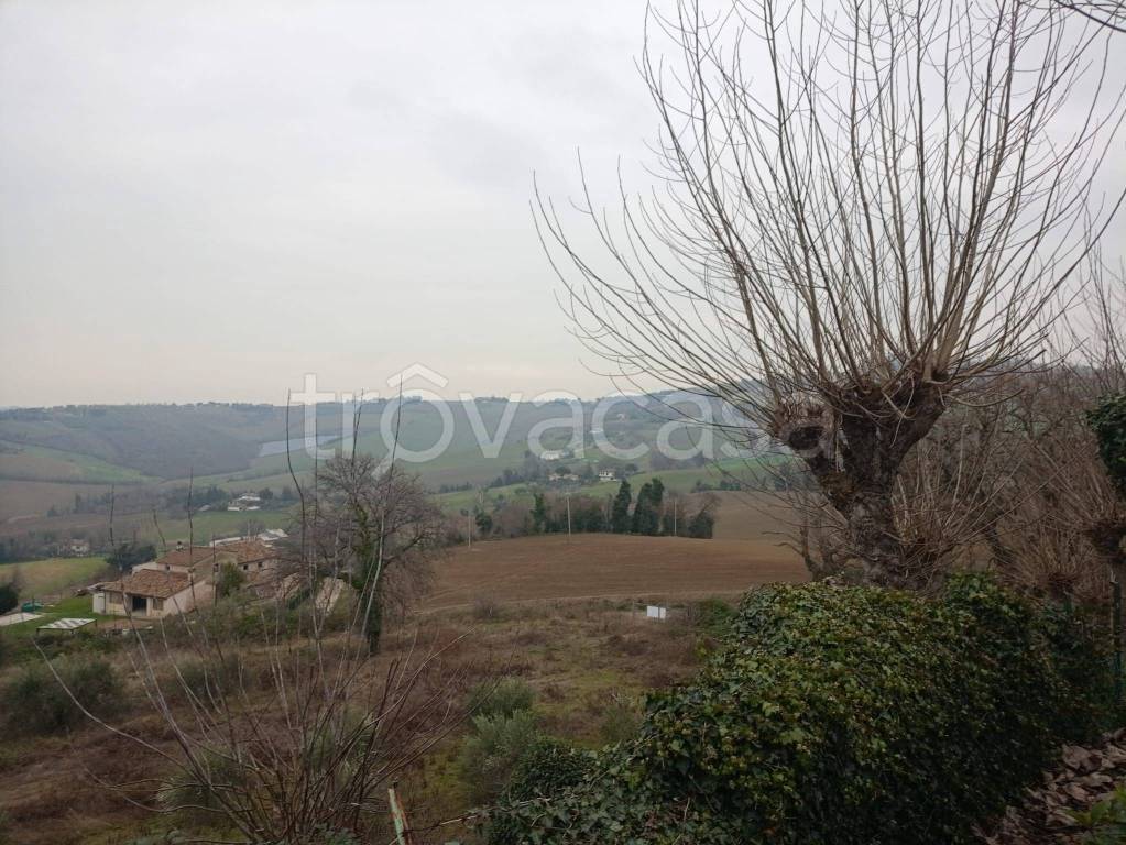 immagine annuncio 7 di 9