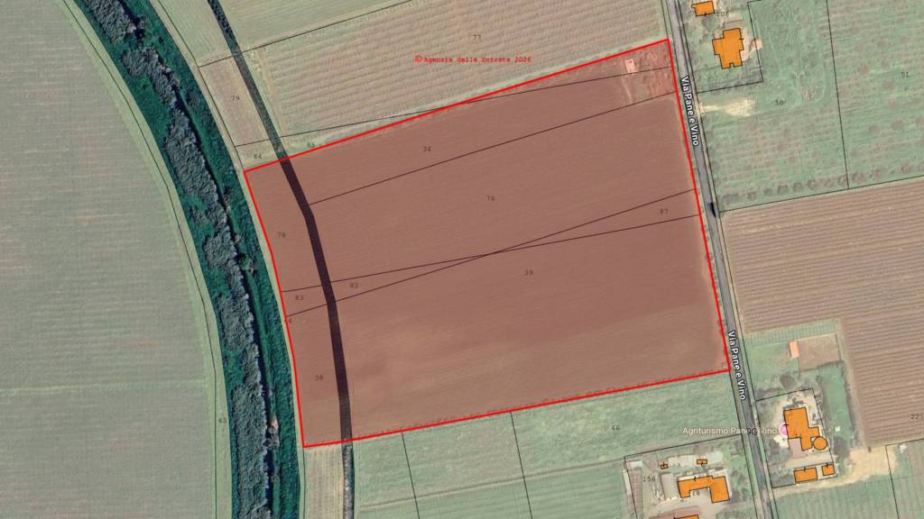 immagine annuncio 5 di 9