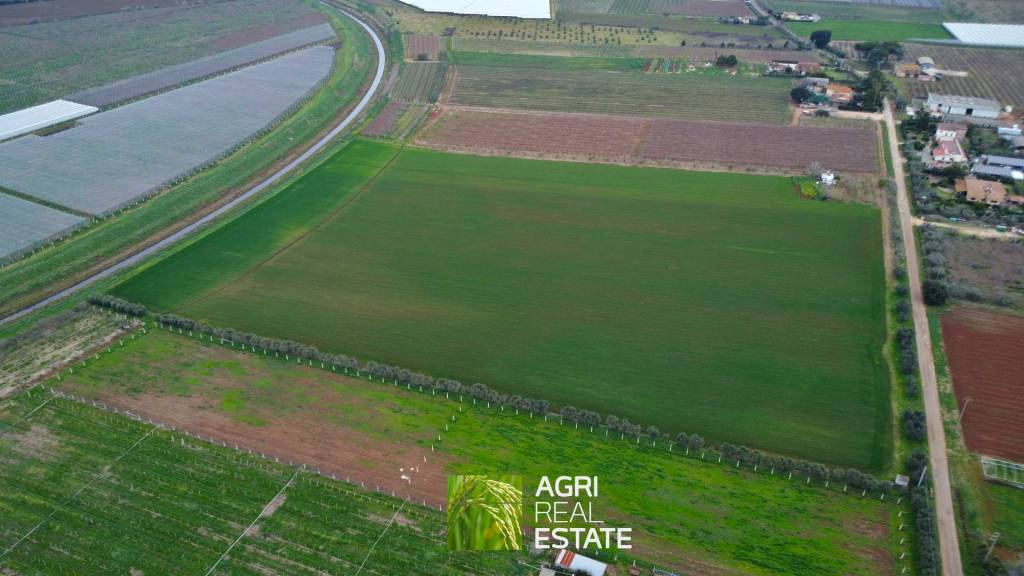 immagine annuncio 8 di 9