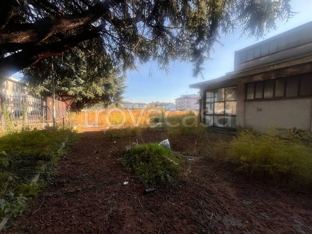 immagine annuncio 3 di 15