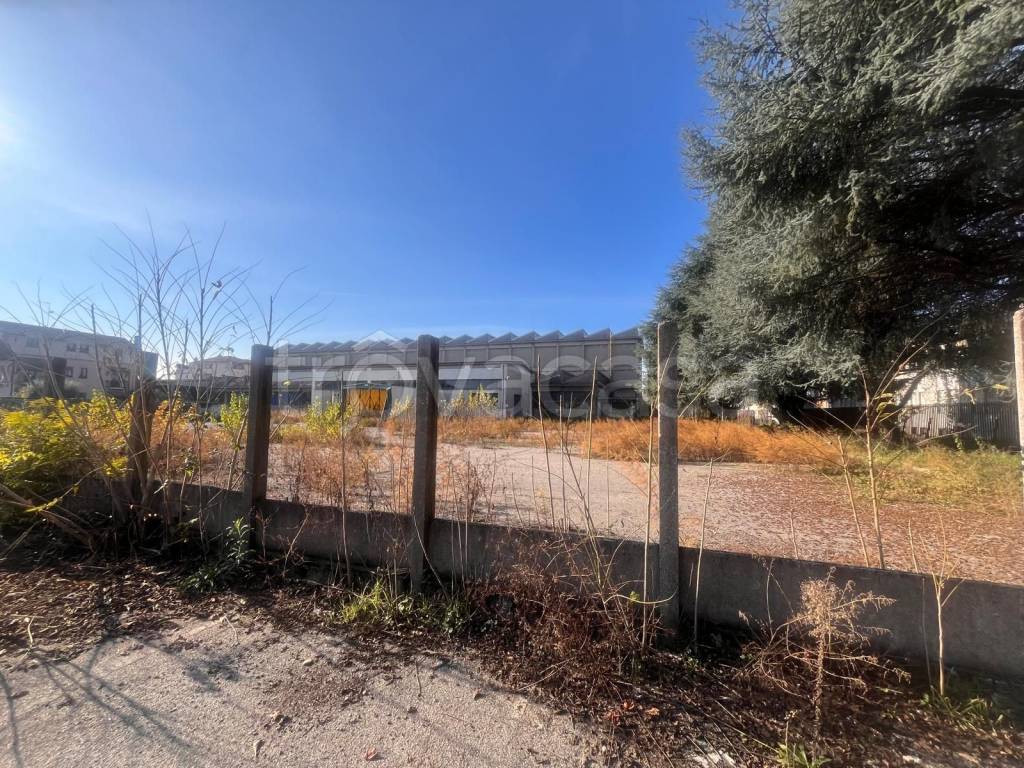 immagine annuncio 8 di 15