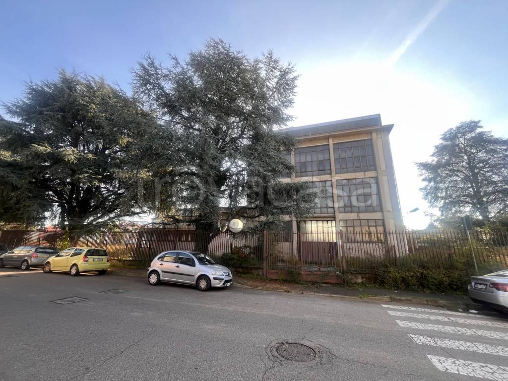 immagine annuncio 10 di 15