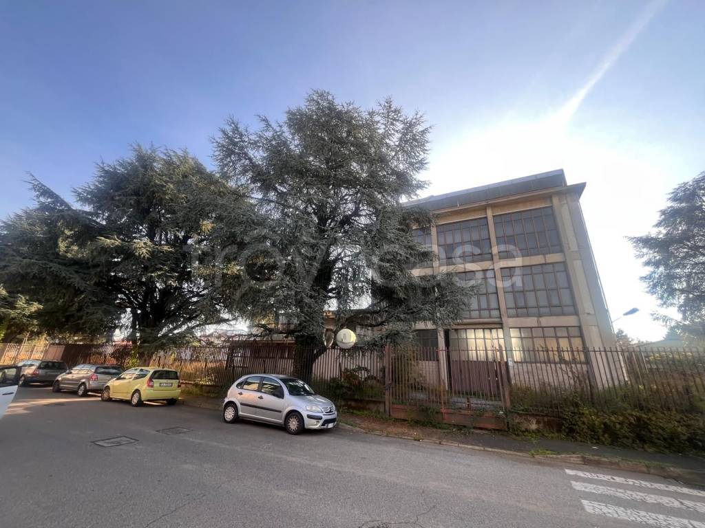 immagine annuncio 11 di 15