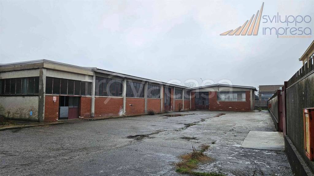 immagine annuncio 7 di 13