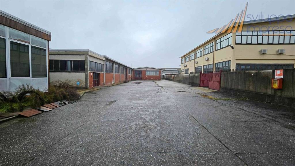 immagine annuncio 10 di 13