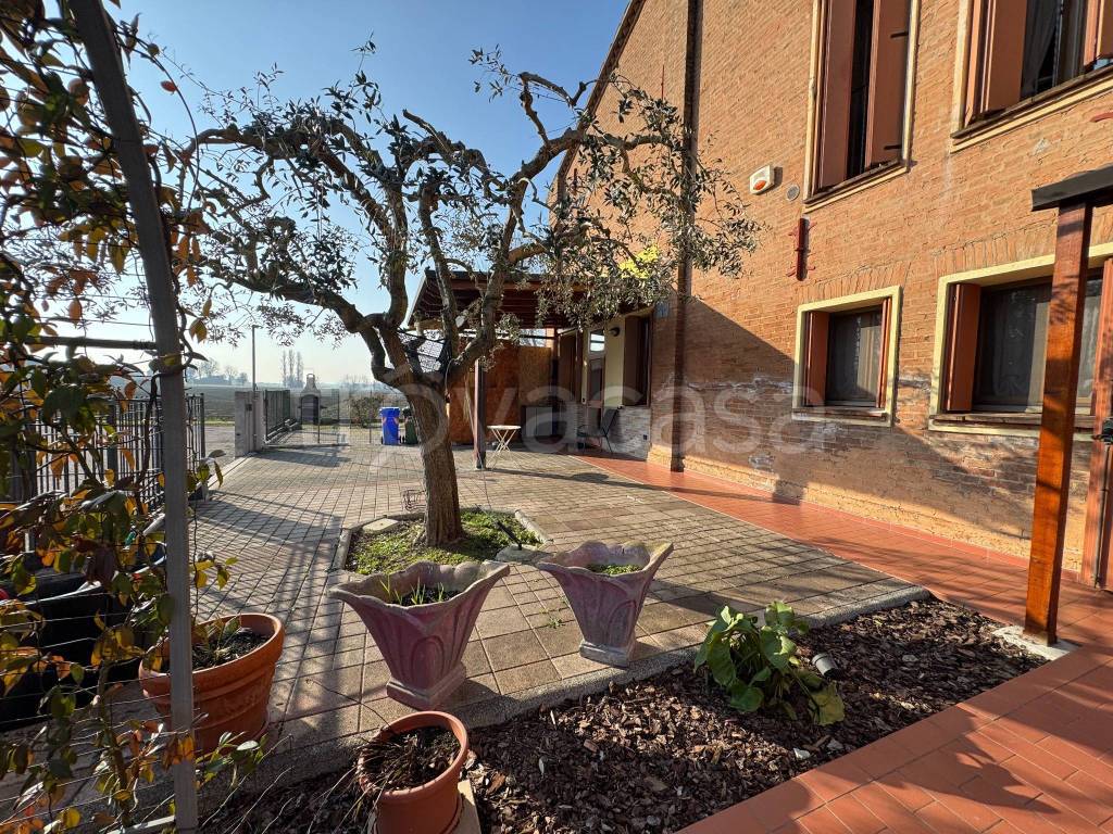 immagine annuncio 1 di 13