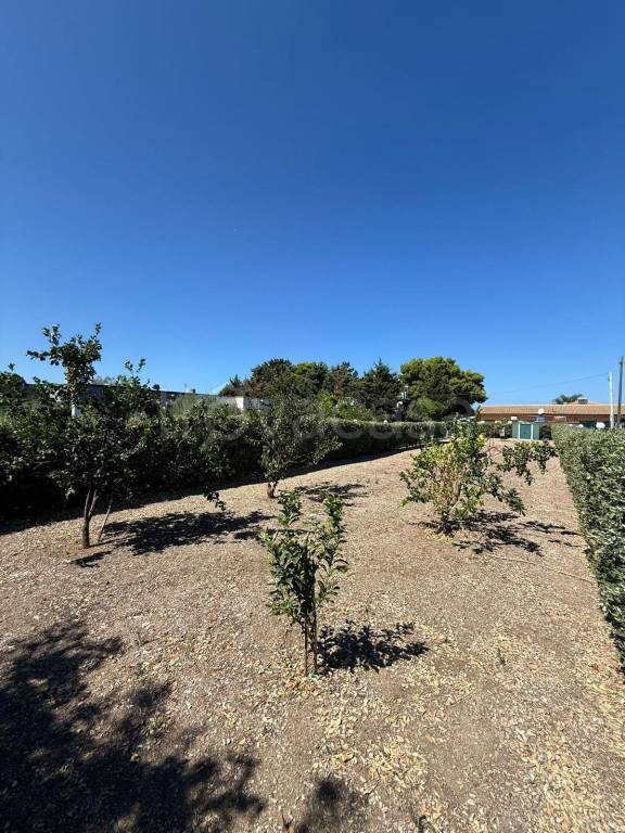 immagine annuncio 9 di 13