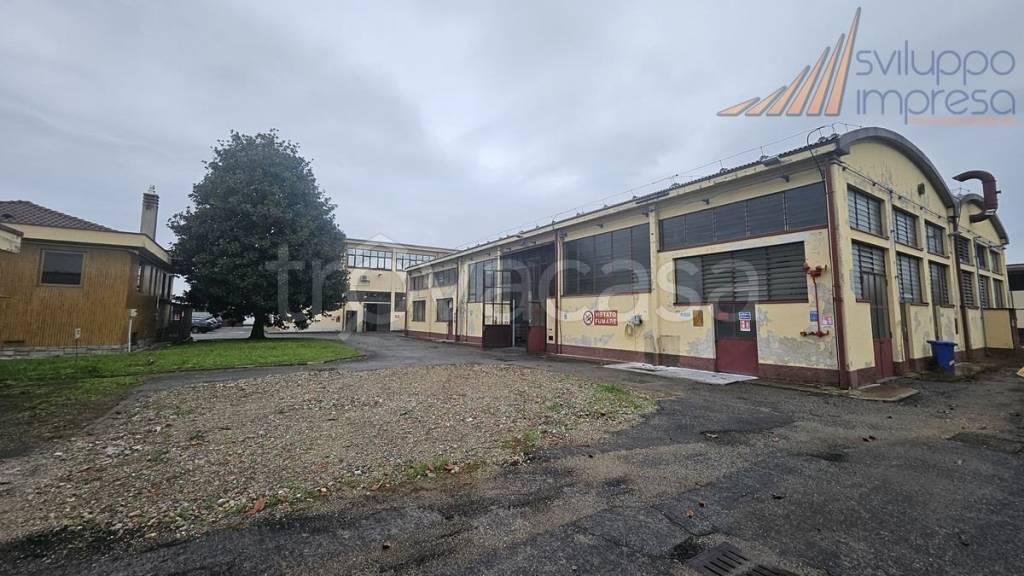 immagine annuncio 3 di 12