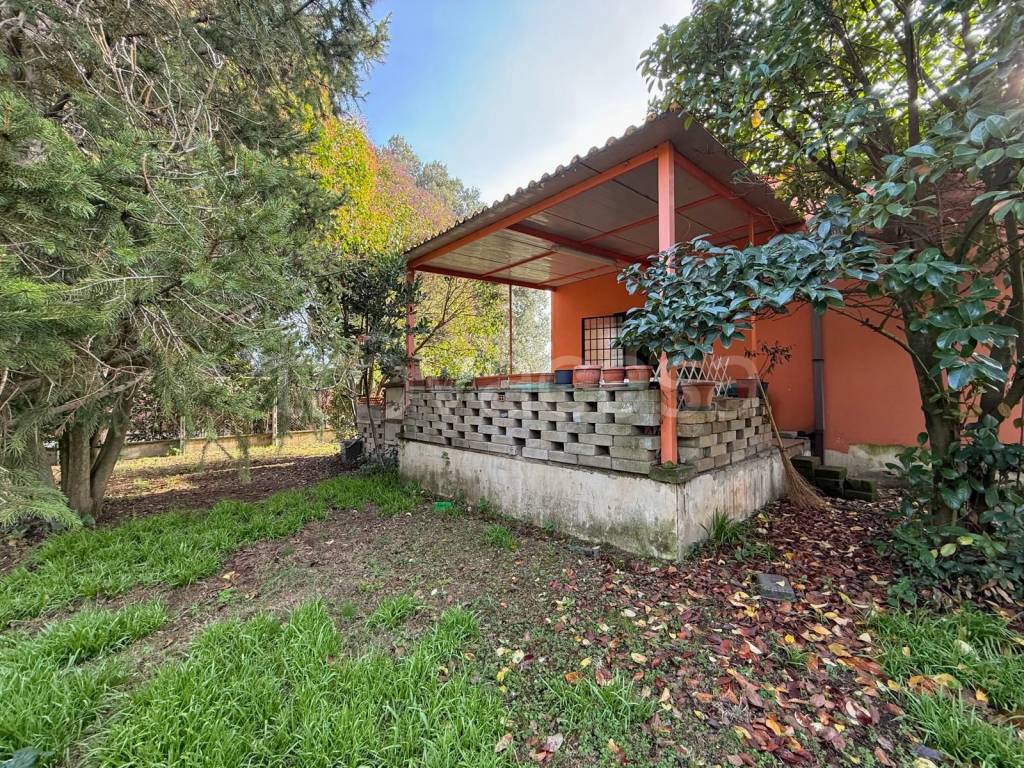 immagine annuncio 8 di 15