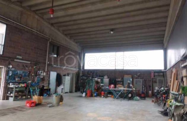 immagine annuncio 9 di 15