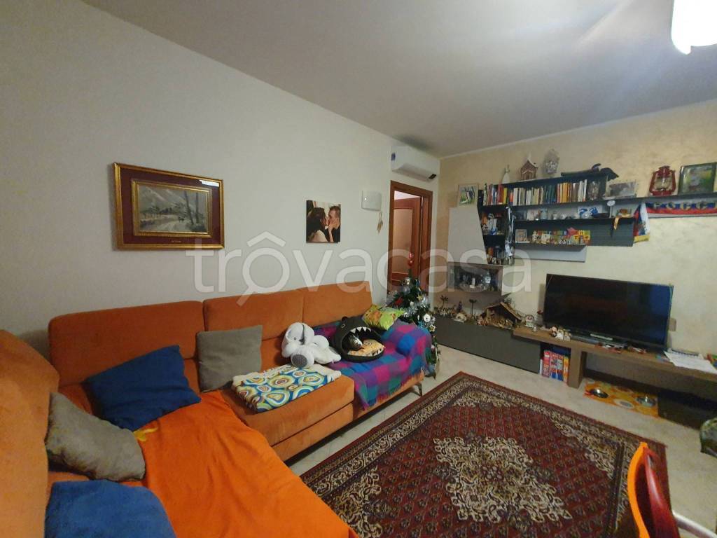 immagine annuncio 5 di 15