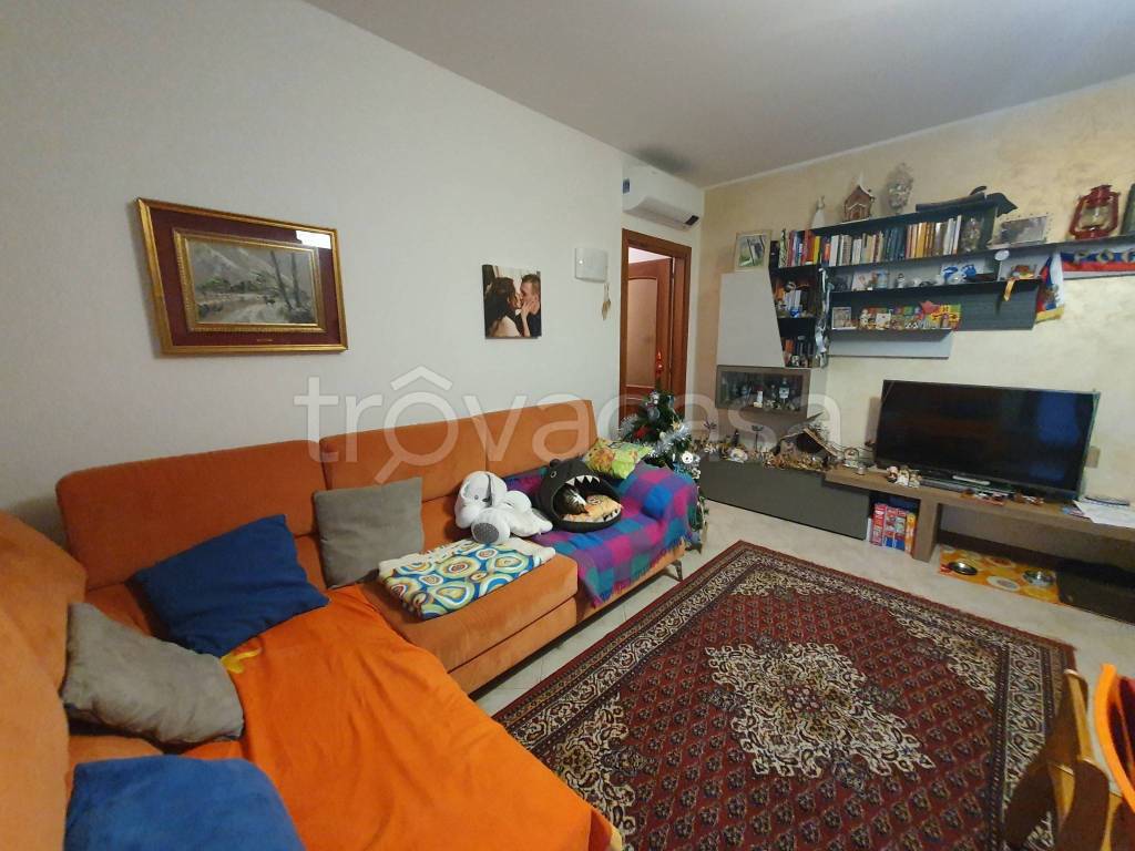 immagine annuncio 7 di 15