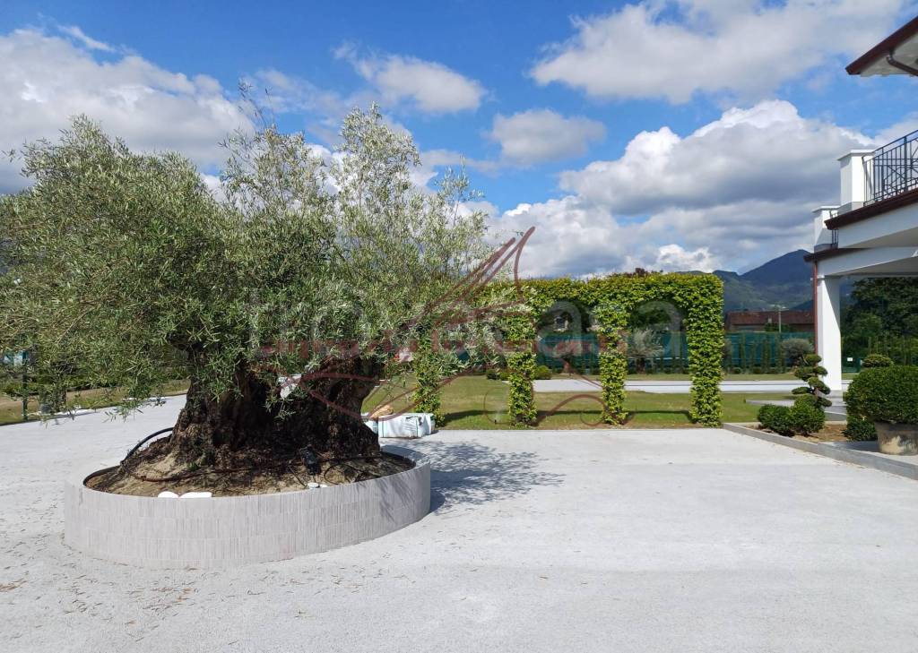 immagine annuncio 5 di 12