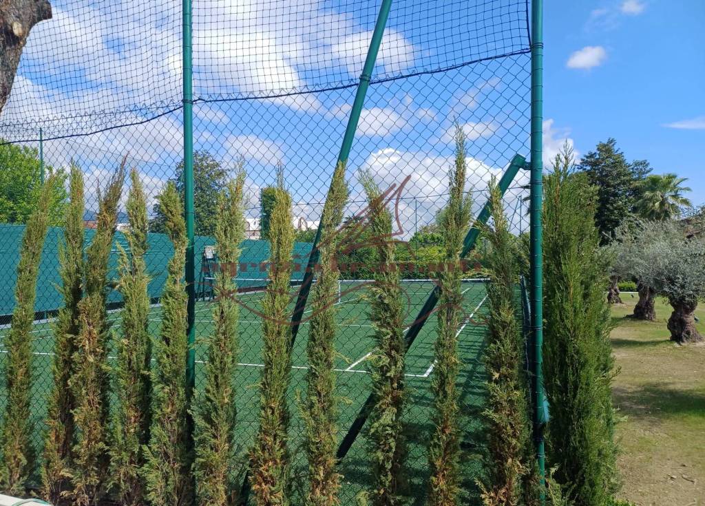 immagine annuncio 6 di 12