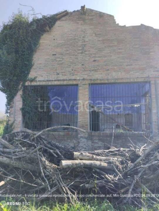 immagine annuncio 6 di 14