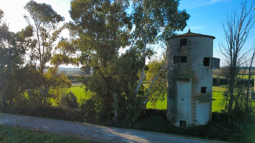 immagine annuncio 1 di 13