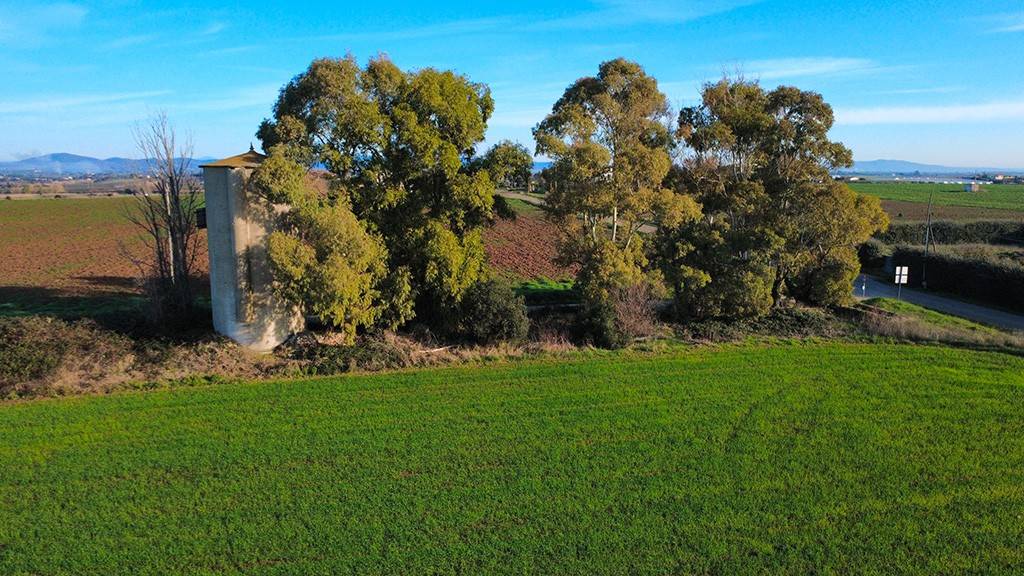 immagine annuncio 8 di 13