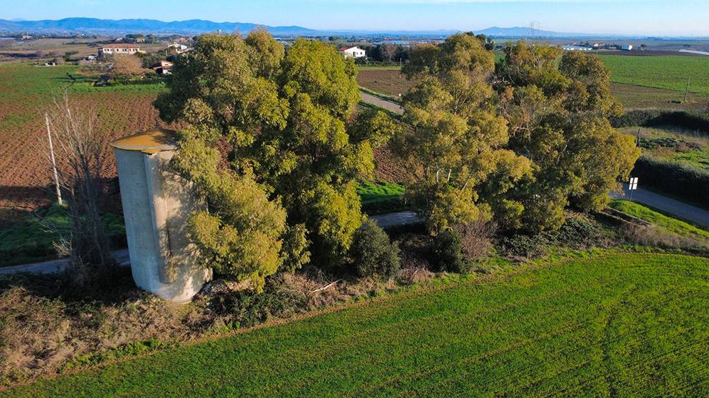 immagine annuncio 7 di 13