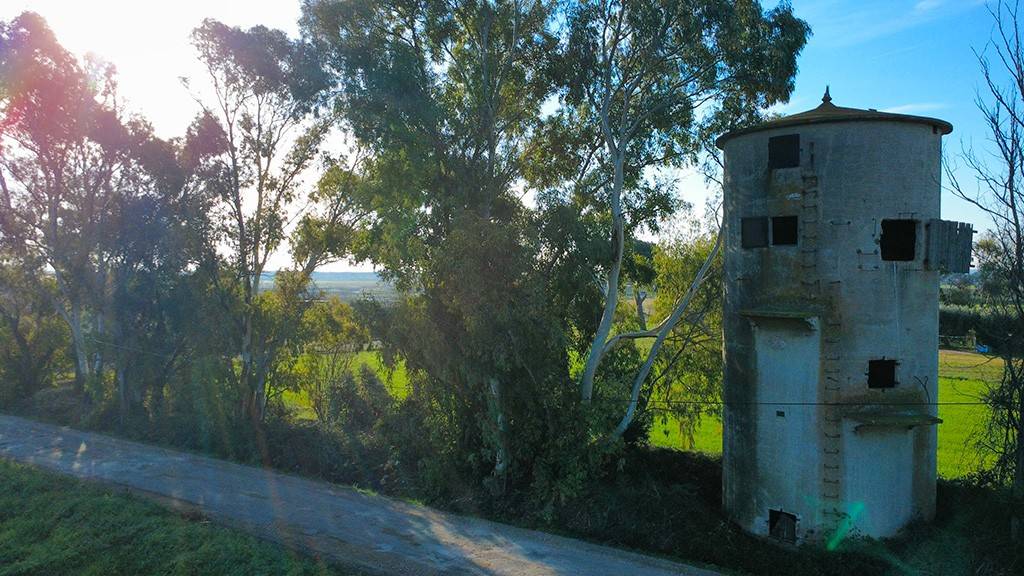 immagine annuncio 12 di 13