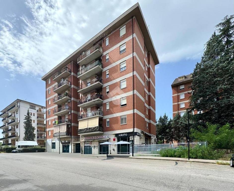 immagine annuncio 14 di 15