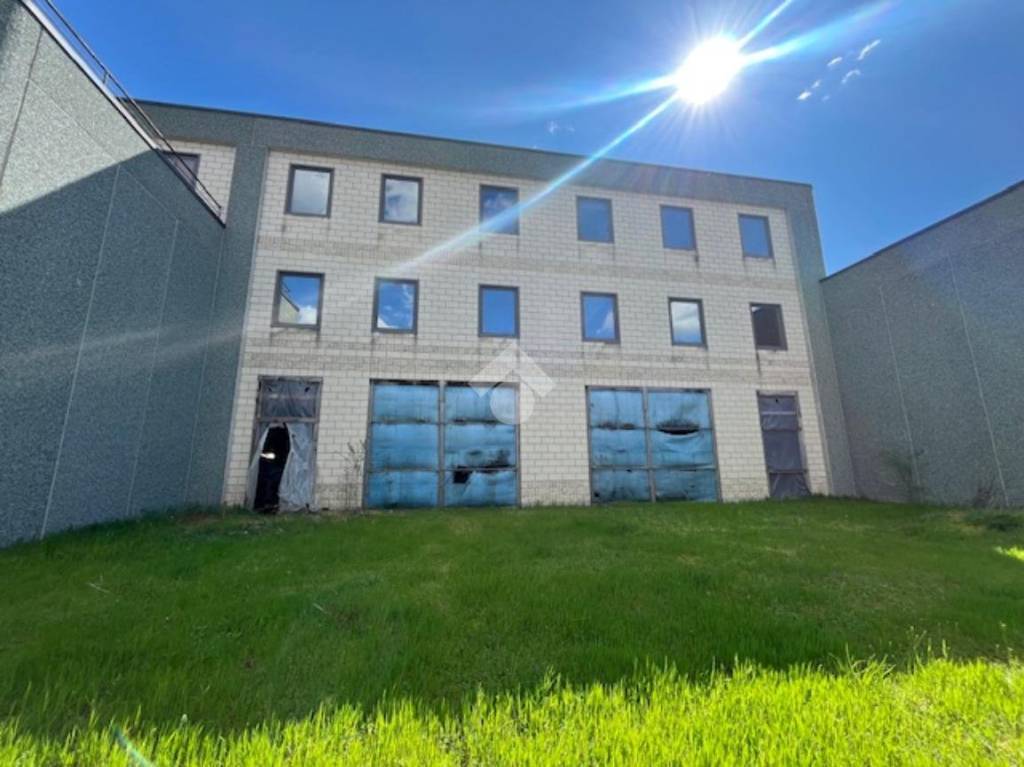 immagine annuncio 2 di 13