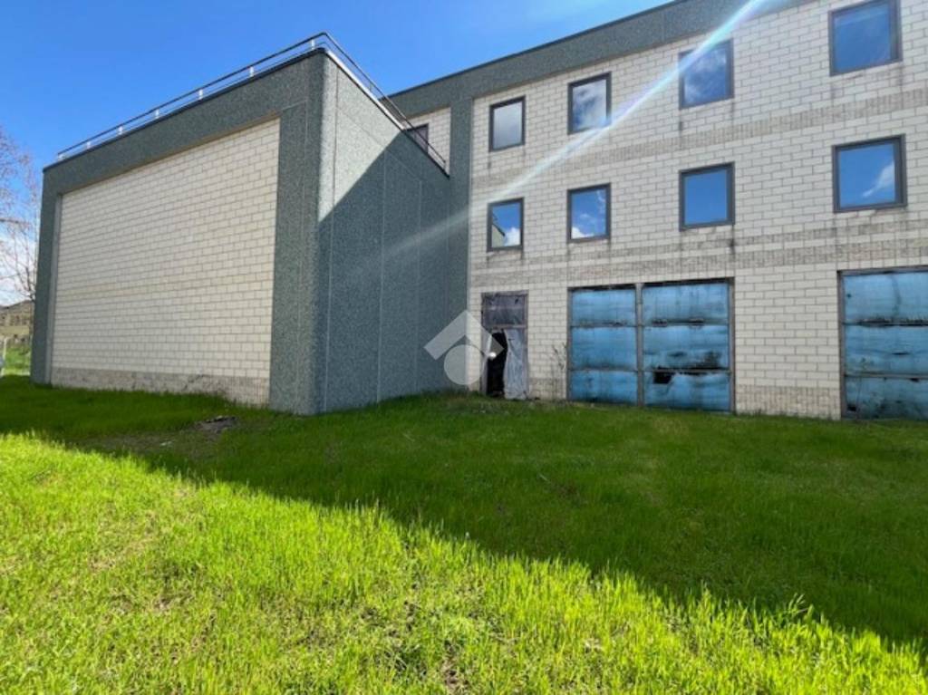 immagine annuncio 3 di 13